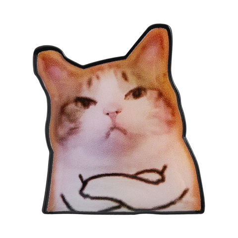 Creative Cartoon Cat Meme Enamel Brooch Pins Funny Animal Quotes Alloy Badge For Clothing Bag Accessories Unisex Gift