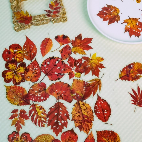 Realistische Herbstblätter Transparente PET Dekorative Aufkleber Für Scrapbooking DIY Journal Hand Account Handwerk Dekor