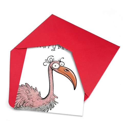 Funny Watercolor Bird Birthday Greeting Cards And Envelopes Cartoon Animal Hand-Drawn Illustration Birthday Blessing Gift Cards For Unisex