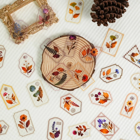 Vintage Botanical PET Stickers Waterproof Transparent Flower Frame Stickers For Scrapbooking Journaling DIY Decor