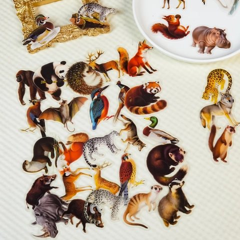 Realistic Forest Animal Stickers Waterproof Transparent PET Decals For Scrapbooking DIY Journaling Decoration Stationery Accessories
