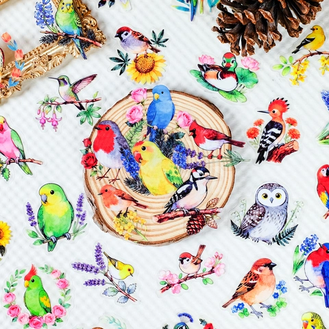 Adesivi per Uccelli ad Acquerello Trasparenti PET Natura Pappagallo Passero Fiore Decalcomanie Decorative per Scrapbooking Fai-da-Te