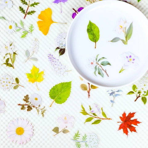 Adesivi in PET Trasparenti a Forma di Fiore e Foglia Botanico Minimalista Rosa Margherita per Scrapbooking Diario Laptop DIY