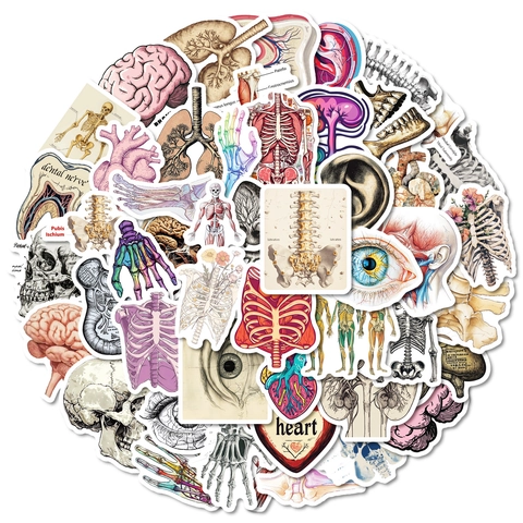 Vintage Human Anatomy Stickers Waterproof Vinyl Medical Illustration Decals For DIY Scrapbooking Journal Laptop Decoration