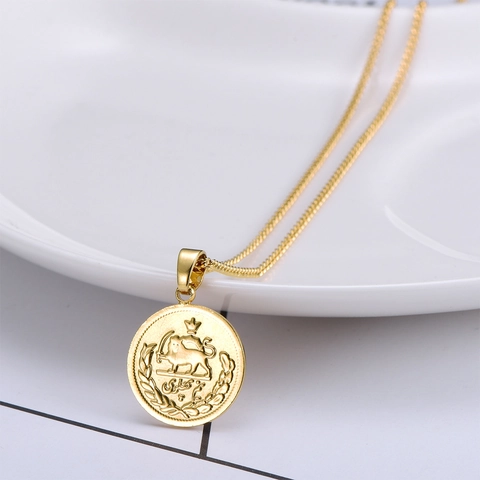 Hip Hop Retro Kupfer Vergoldet Rund Münze Anhänger Halskette Für Herren Damen Löwe Sonne Relief Porträt Street Style Schmuck