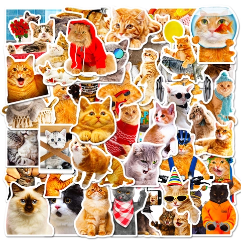 Funny Cat Stickers Waterproof PP Decals Realistic Photo Cat Meme Stickers For Laptop Water Bottle Scrapbook Animal Decor