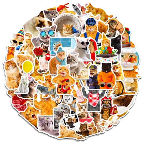 Funny Cat Stickers Waterproof PP Decals Realistic Photo Cat Meme Stickers For Laptop Water Bottle Scrapbook Animal Decor