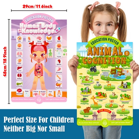 Educatieve Posters Voor Kinderen Dieren Menselijk Lichaam Beroepskennis Engels Leren Cartoon Cognitieve Posters Voor Peuters