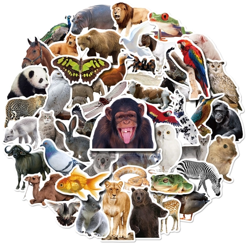 Adesivi Realistici di Animali dello Zoo per Bambini Impermeabile PVC Decalcomanie per Laptop Borraccia Bagaglio DIY Decorazione