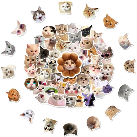 Funny Cat Meme Stickers Waterproof Vinyl Decals For Laptop Water Bottle Luggage Skateboard Scrapbook Cute Animal Stickers For Kids Teens Decor