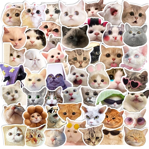 Funny Cat Meme Stickers Waterproof Vinyl Decals For Laptop Water Bottle Luggage Skateboard Scrapbook Cute Animal Stickers For Kids Teens Decor