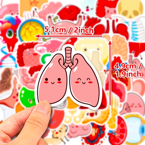 Cute Cartoon Human Organs Stickers For Kids Waterproof Vinyl Decals For Laptop Scrapbooking School Learning Supplies Decoration