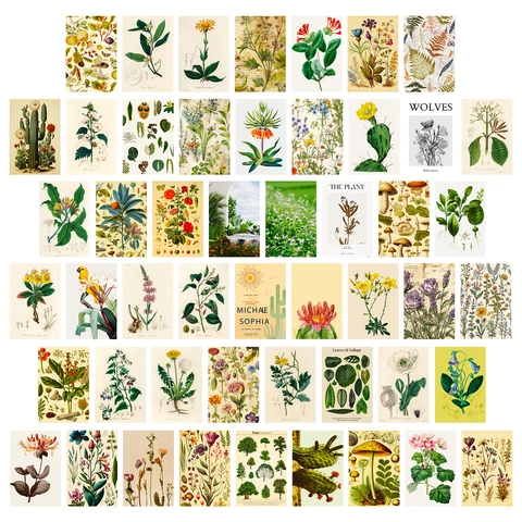 Vintage Botanical Illustration Wall Decor Postcards Retro Plant Flower Mushroom Scientific Art Prints For Home Wall Decor