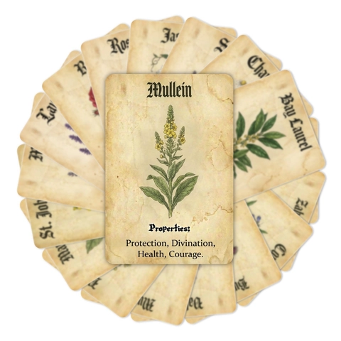 Vintage Witch Herbal Properties Knowledge Cards Retro Botanical Plant Illustration Collection Decorative Cards For Scrapbooking Journaling Decor