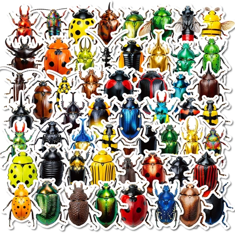 Realistic Colorful Beetle Insect Graffiti Stickers For DIY Handbook Scrapbooking Laptop Luggage Waterproof PVC Animal Decals