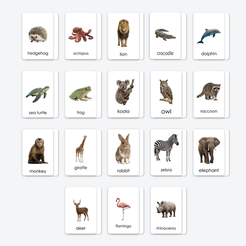 Dieren Educatieve Flashcards Voor Peuters Echte Fotografie Tweetalige Leerkaarten Vroege Ontwikkeling Montessori Leerspeelgoed