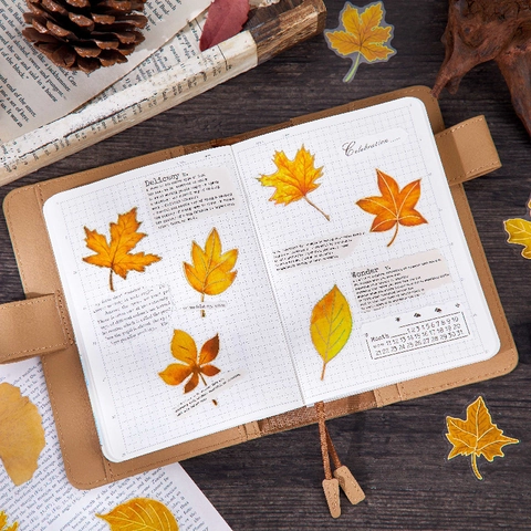 Vintage PET Ahornblatt Aufkleber Für Scrapbooking DIY Journal Dekorative Herbst Thema Natur Laub Ästhetisches Material Papier
