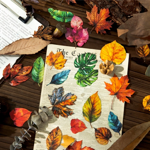 Vintage Botanical Fallen Leaves Theme Scrapbooking Sticker Pack For DIY Diary Decoration Aesthetic Maple Leaf Journal Stickers