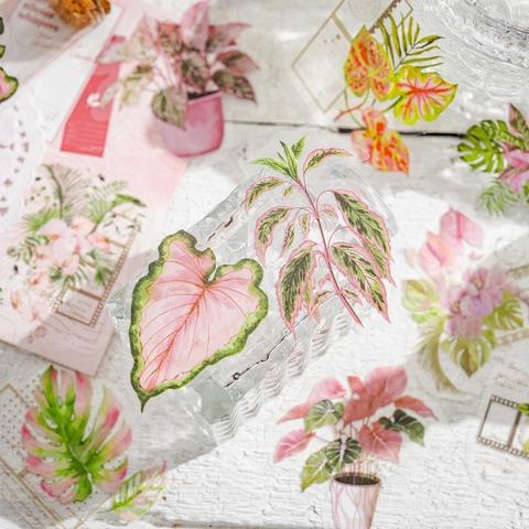 Vintage Botanik Transparente Aufkleber PET Wasserdicht Blumen Blatt Sticker Für Scrapbooking DIY Journal Deko Schreibwaren