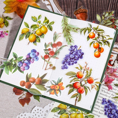 Serie Frutti Botanici Retrò Adesivi Impermeabili Trasparenti in PET Per Journaling Scrapbooking DIY Decalcomanie Decorative