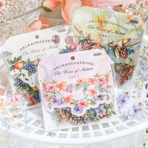 Vintage Botanical Scenery PET Stickers Nature Voice Series Transparent Decorative Scrapbooking Planner Diary DIY Material Stickers