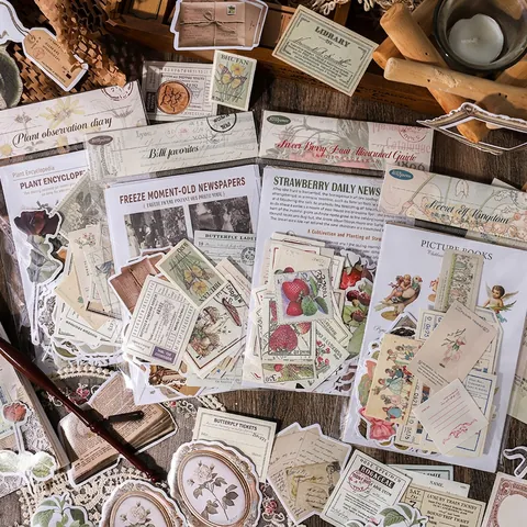 Paquete De Material De Scrapbooking Estético Vintage Pegatinas Washi Botánicas Papel PET Efímeros Retro Para Diario DIY Arte