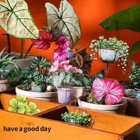 Tropical Rainforest Plant Potted PET Stickers For Scrapbooking Journaling DIY Decor Monstera Fern Watercolor Decoration