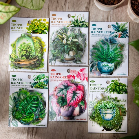 Tropical Rainforest Plant Potted PET Stickers For Scrapbooking Journaling DIY Decor Monstera Fern Watercolor Decoration