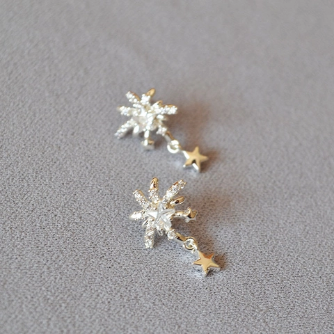 Verzilverd Messing Sneeuwvlok Ster Oorknopjes Met Zirconia Glinsterende Sterrenstraal Oorbellen 925 Sterling Zilver Stift