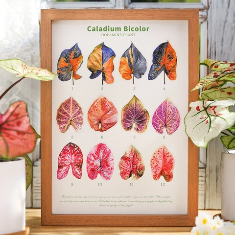 Realistische Caladium Bicolor PET Aufkleber Pack Wasserdicht Simulationsblatt Scrapbooking Sticker Für Journaling DIY Deko Material