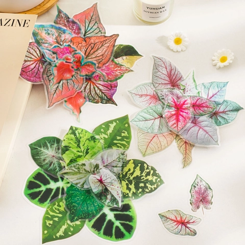 Realistische Caladium Bicolor PET Aufkleber Pack Wasserdicht Simulationsblatt Scrapbooking Sticker Für Journaling DIY Deko Material