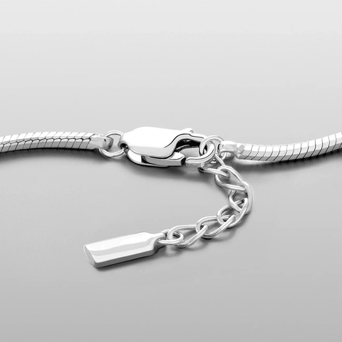 Pulsera de Hueso de Serpiente de Acero Inoxidable para Hombre Minimalista Cadena Octogonal Galvanizada Joyería de Moda Ajustable