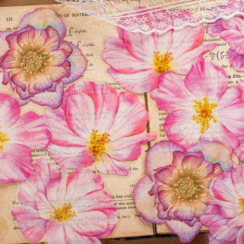 Adesivi in PET Floreali Vintage per Scrapbooking Farfalla Pianta Trasparenti Decalcomanie Decorative per Fai da Te