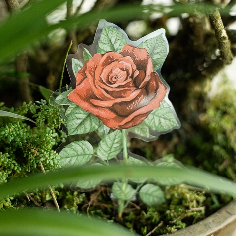 Vintage Romantic Rose PET Waterproof Stickers Floral Hand Drawn Decorative Planner Scrapbooking Journaling DIY Gifts Decals