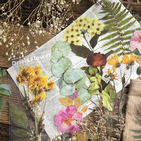 Vintage Plant Floral PET Stickers For Scrapbooking DIY Journal Diary Decoration Transparent Botanical Artistic Decals