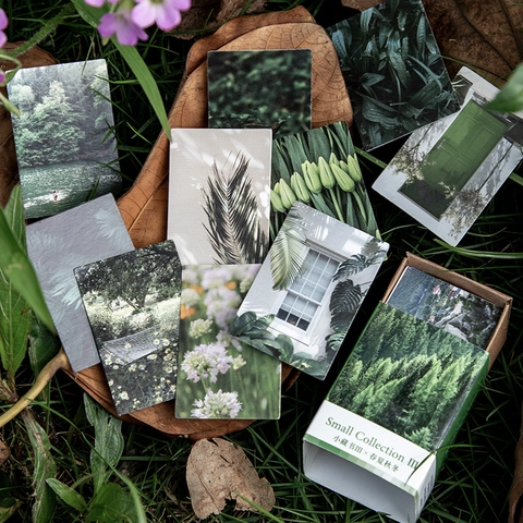 Vintage Landscape Floral Small Memo Pads For Scrapbooking Journaling Decoration White Cardboard Printed Decorative Materials Mini Gift Cards