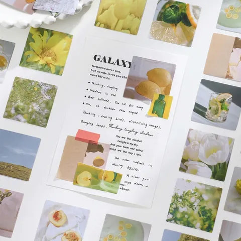 Aesthetic Scenery Plants Flower Boxed Adhesive Decorative Stickers For DIY Scrapbooking Journaling Arts Crafts Decoration Labels
