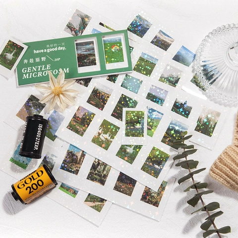 Pegatinas Holográficas LOMO de Estética Vintage Para Journaling DIY Decoración Paisaje Floral Botánico Retro Art Decor