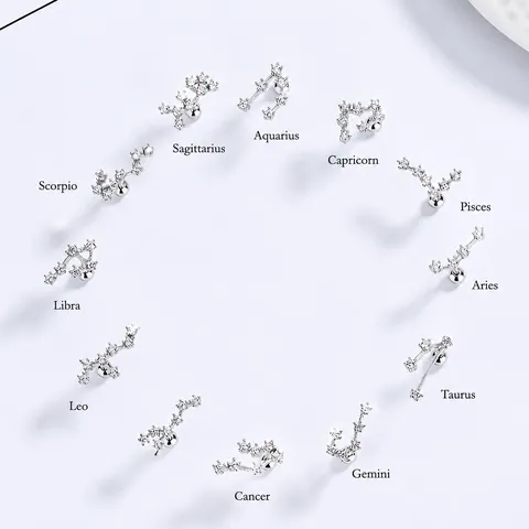 925 Sterlingsilber Zwölf Sternzeichen Ohrstecker Strass Tierkreis Sternenkarte Schraubverschluss Minimalistischer Schmuck