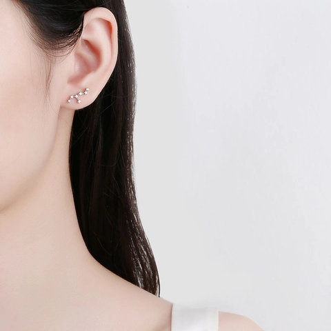 925 Sterlingsilber Zwölf Sternzeichen Ohrstecker Strass Tierkreis Sternenkarte Schraubverschluss Minimalistischer Schmuck