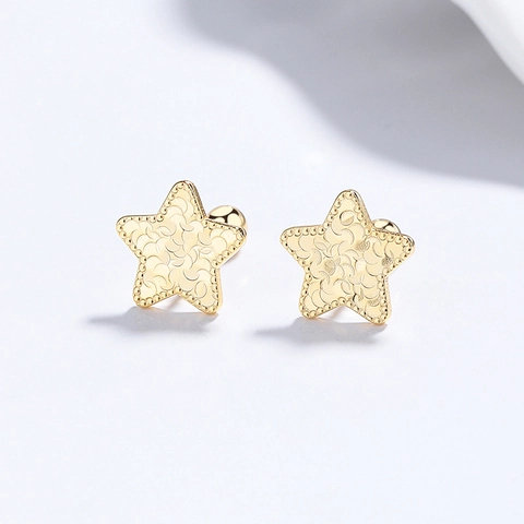 Boucles d'Oreilles Clous Étoile en Argent Sterling 925 pour Femmes Texture Glace Pilée Fermoir à Vis Bijoux de Mode Minimalistes