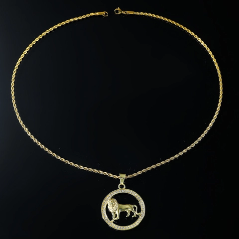 Collana Medaglione Testa di Leone Hip Hop per Uomo Donna Ciondolo Leone in Lega di Zinco Strass Catena Corda Acciaio Inossidabile