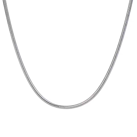 Collana a Catena Ossa di Serpente in Argento Sterling 925 Minimalista Placcata Oro Platino Catena da Clavicola per Donna Uomo Unisex Gioielli