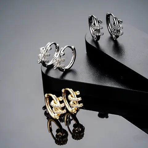 Slangvormige Strass Oorbellen Voor Dames Heren Koper Minimalistisch Spiraalontwerp Geometrische Lus Oorbellen Sieraden Cadeau