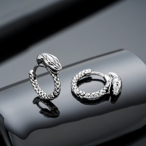 Retro Gothic Copper Snake Hoop Earrings For Men Women Unisex Vintage Punk Animal Pattern Gold Silver Plated Jewelry Gift