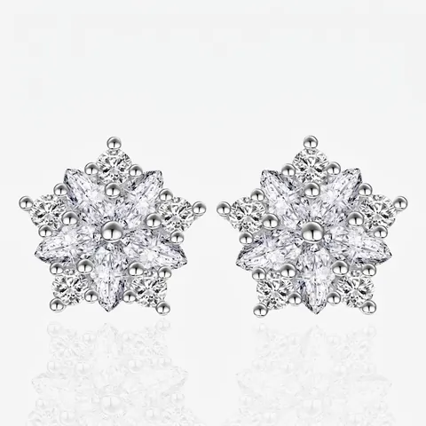 Orecchini a Lobo in Argento Sterling S925 a Forma di Stella e Fiore Con Zirconia 5A Oro Argento per Donna Matrimonio