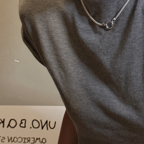 S925 Sterling Zilveren Slangenketting Minimalistische Ronde Veersluiting Koreaanse Stijl Sleutelbeenketting Vrouwen Sieraden