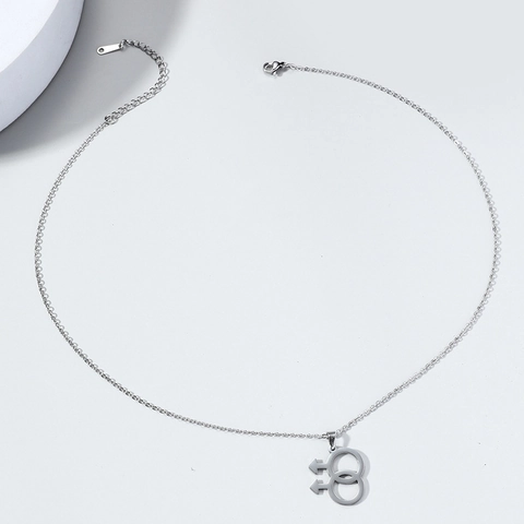 Minimalist Stainless Steel Double Male Symbol Gender Pendant Necklace Silver Color Jewelry For Men Women Pride Event Gift