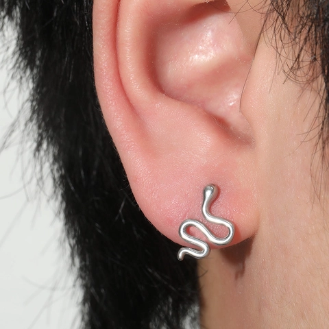Boucles d'Oreilles Clous Serpent Argent Minimalistes Pour Femmes Alliage Vague Forme en S Boucles d'Oreilles Animal avec Tige Titane