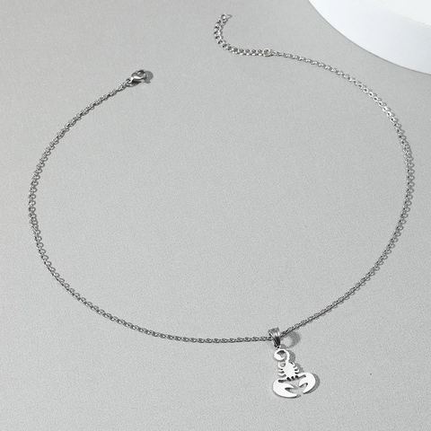 Collana con Pendente a Forma di Scorpione in Acciaio Inossidabile Hip Hop per Uomo Donna Gioielli con Catena Gotica Punk